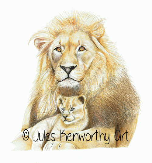 Lion and Cub Detailed Coloured Pencil Drawing