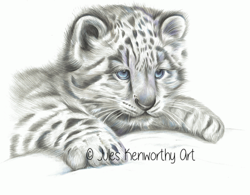 Snow Leopard