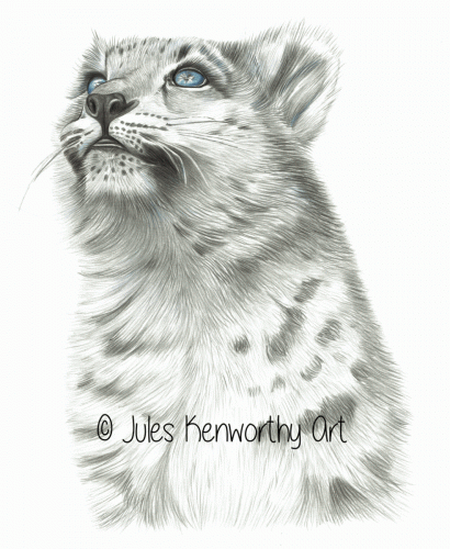 Snow Leopard Art