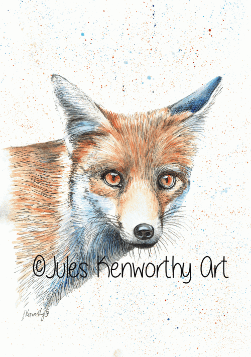 Fox