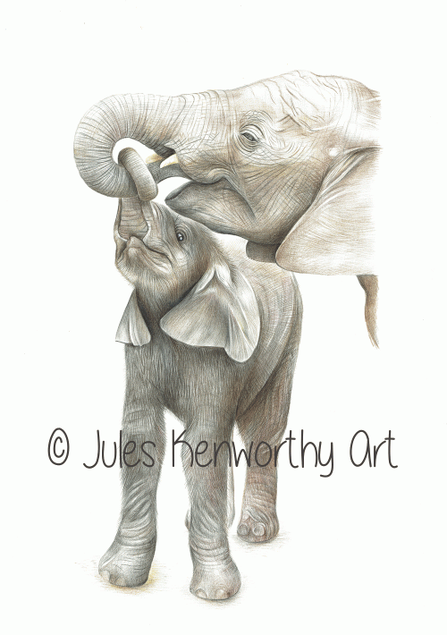 Elephants - Mother and Child