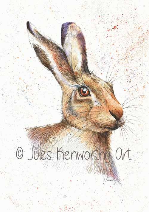Hare 