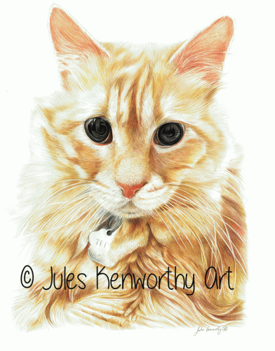 Ginger Cat 