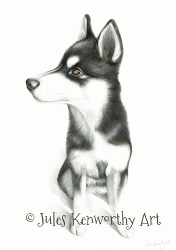 Husky