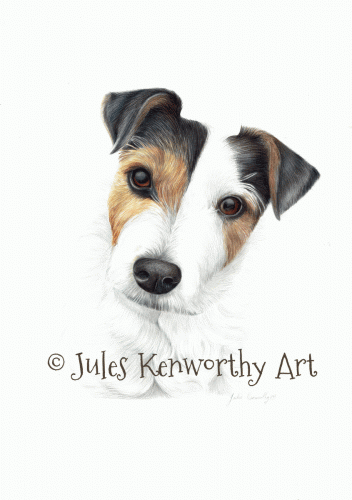 Jack Russell
