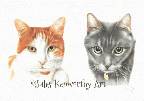 2 cats